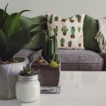 Decorar a casa pode parecer uma tarefa difícil e, muitas vezes, cara. No entanto, é totalmente possível criar um ambiente acolhedor, bonito e funcional sem gastar muito dinheiro. 