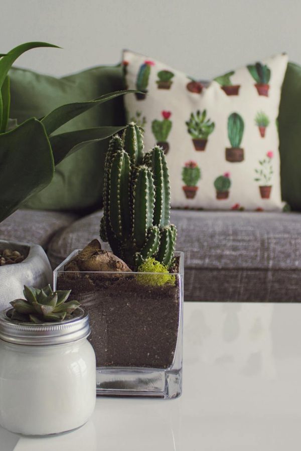 Decorar a casa pode parecer uma tarefa difícil e, muitas vezes, cara. No entanto, é totalmente possível criar um ambiente acolhedor, bonito e funcional sem gastar muito dinheiro. 