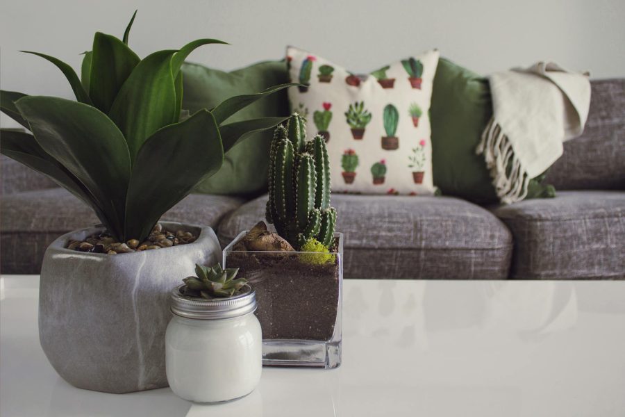 Decorar a casa pode parecer uma tarefa difícil e, muitas vezes, cara. No entanto, é totalmente possível criar um ambiente acolhedor, bonito e funcional sem gastar muito dinheiro. 